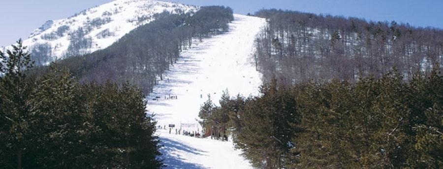 Lailias(Serres) 1 9267284e7733f4bec00d2e114d3f3ba1